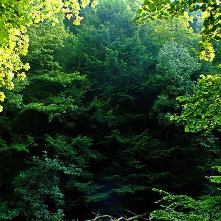 Scenic nature travel hero image